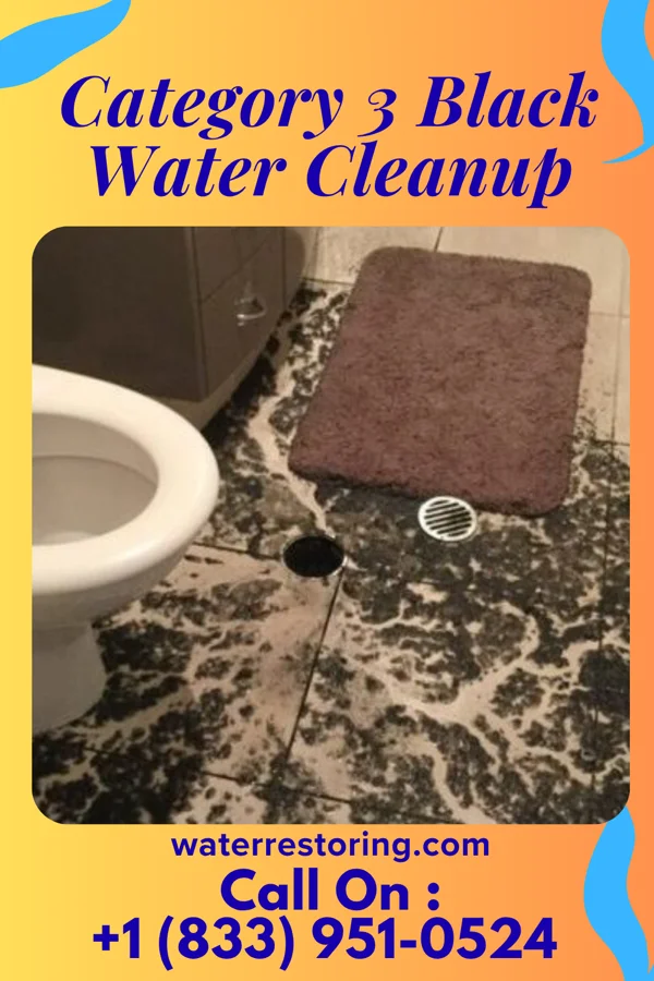 Category 3 Black Water Cleanup in Laurel Heights, NJ