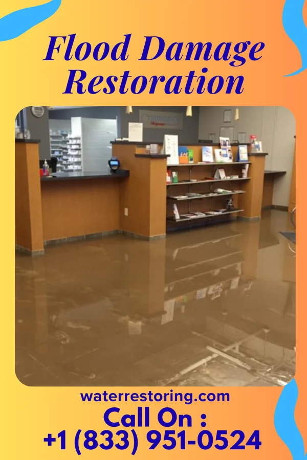 Flood Damage Restoration in Laurel Heights, NJ