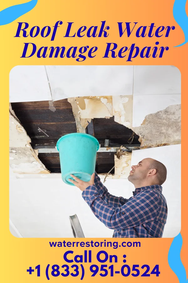 Roof Leak Water Damage Repair in Laurel Heights, NJ