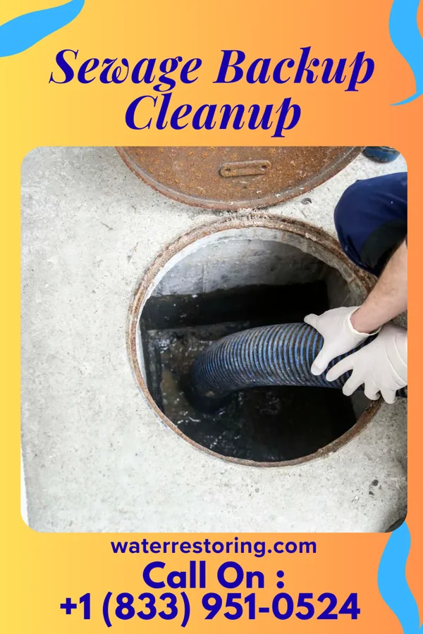 Sewage Backup Cleanup in Laurel Heights, NJ