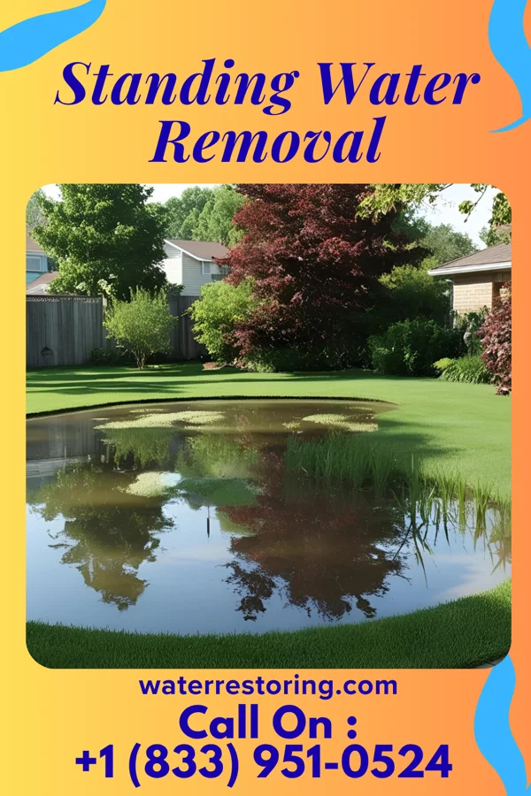 Standing Water Removal in Laurel Heights, NJ